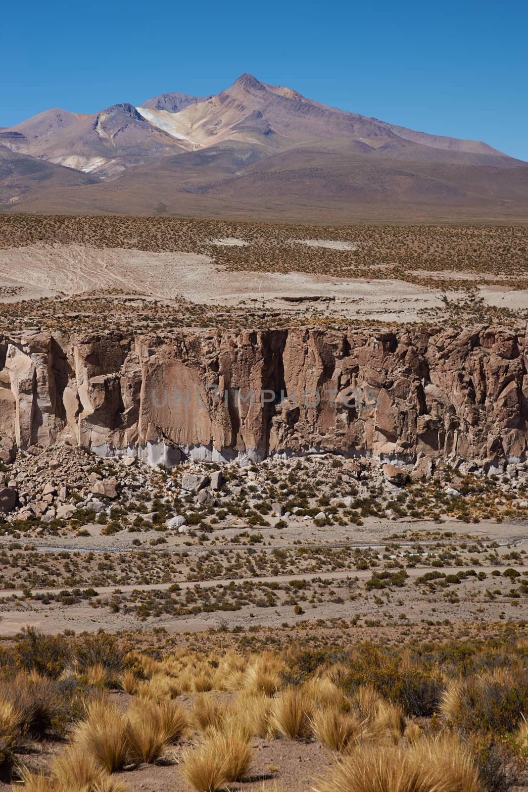 Desert canyon running through the Altiplano of Lauca National Park in northern Chile