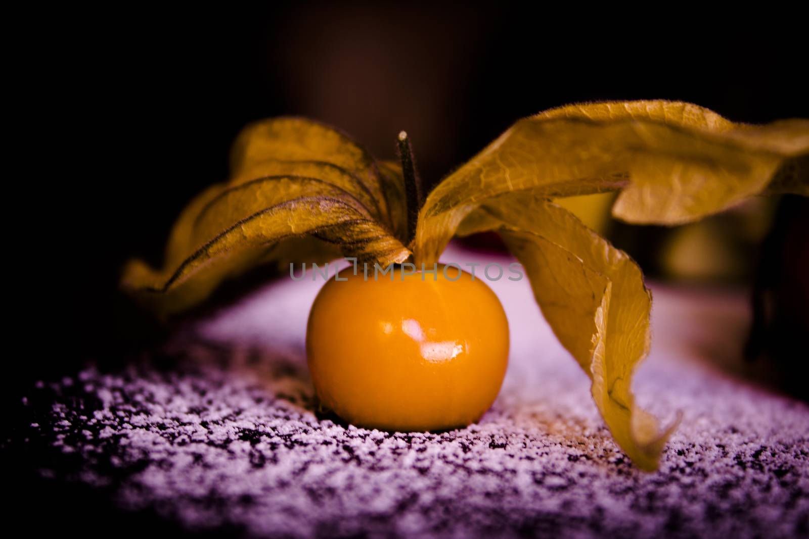 Small yellow orange tomato with branch on snow.