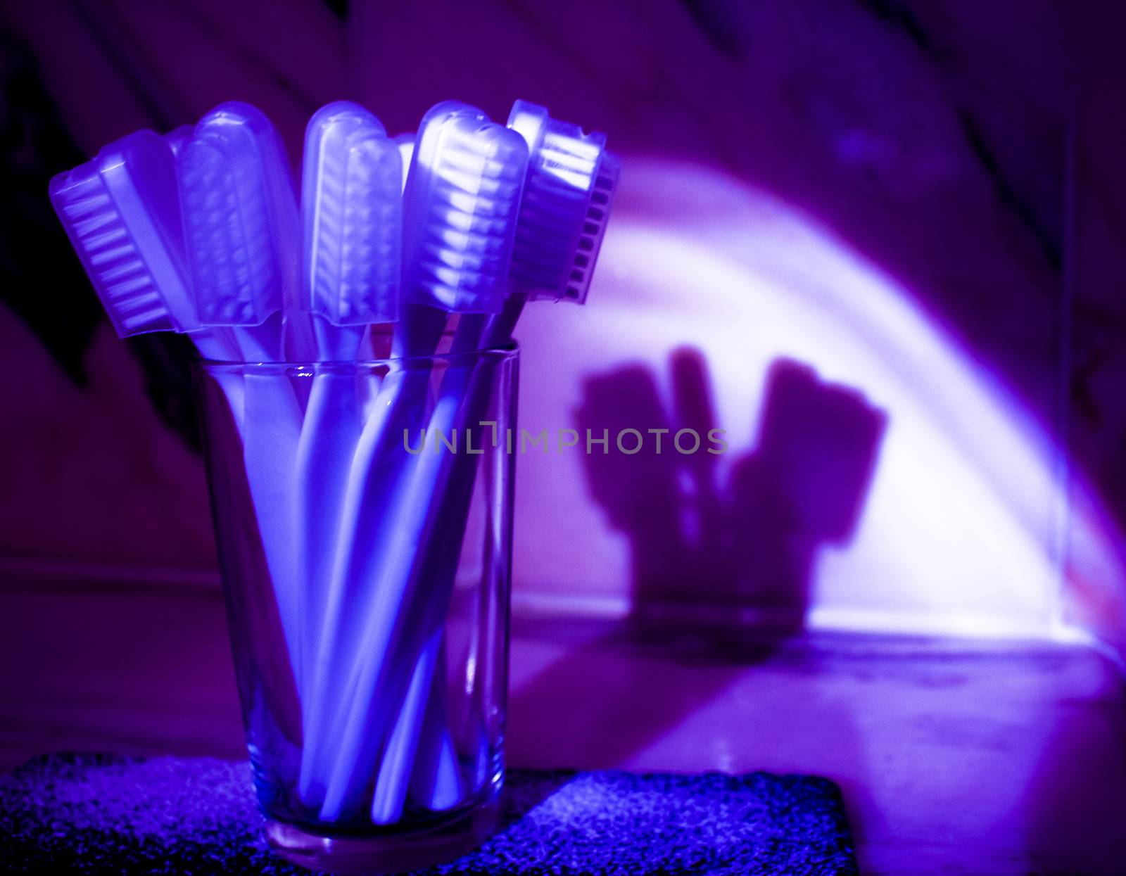 Toothbrushes with bluish purple shadow reflected on the wall.