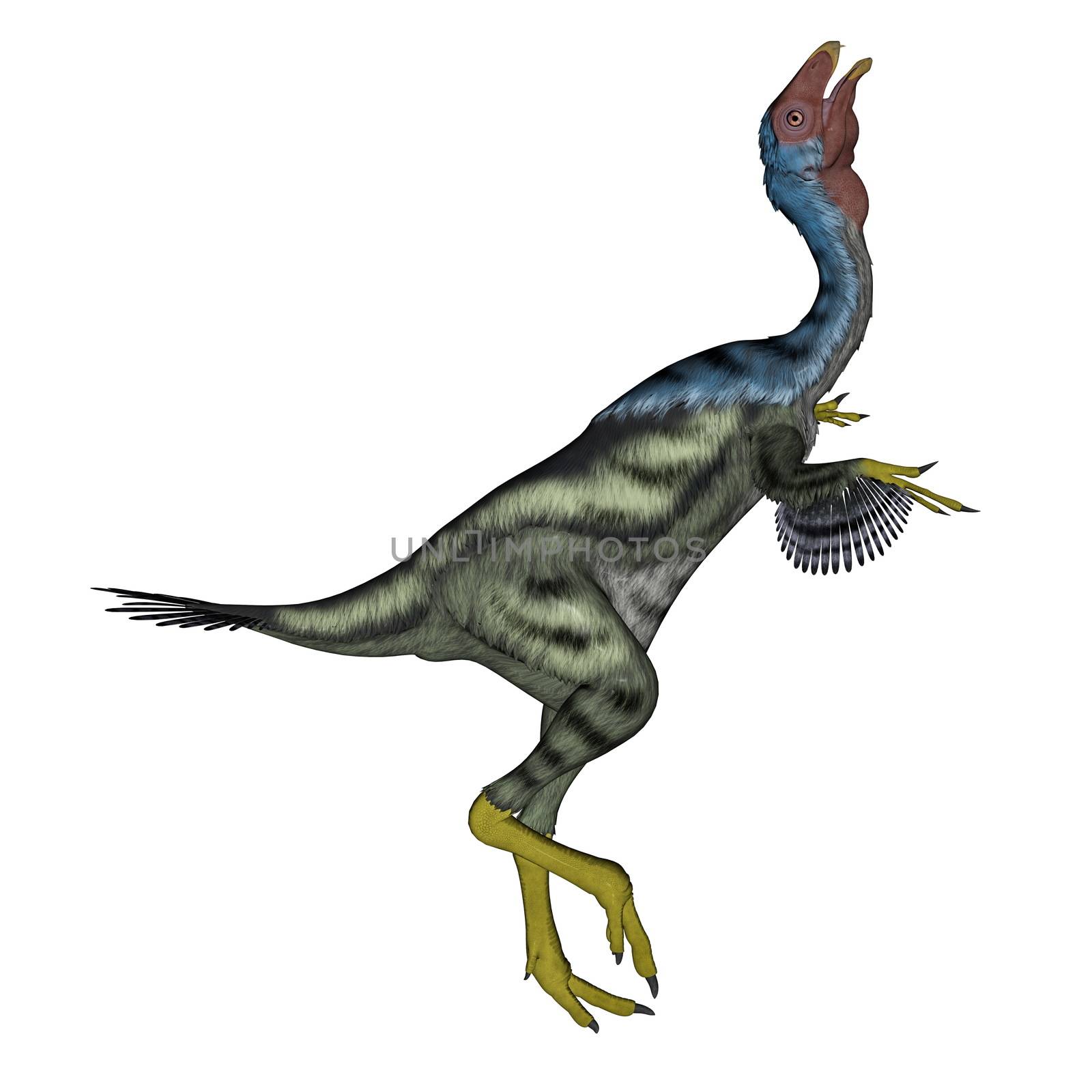 Caudipteryx dinosaur head up in white background- 3D render