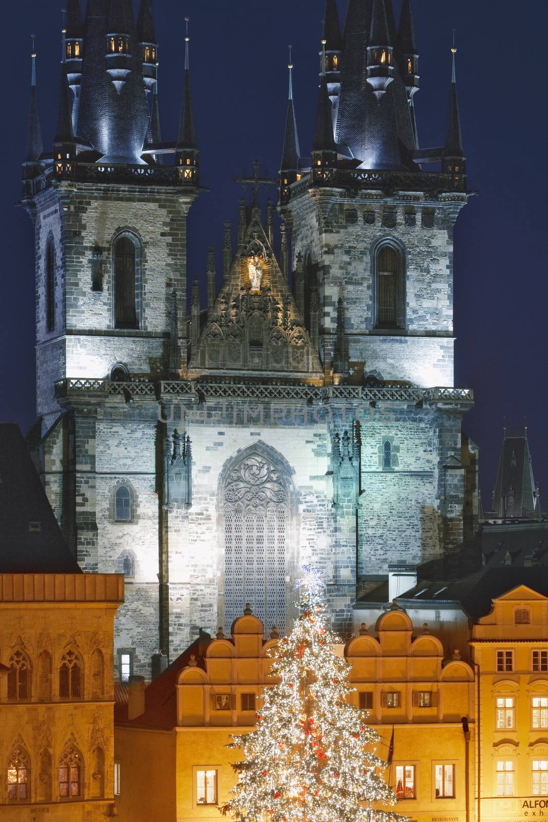 prague christmas tree by courtyardpix