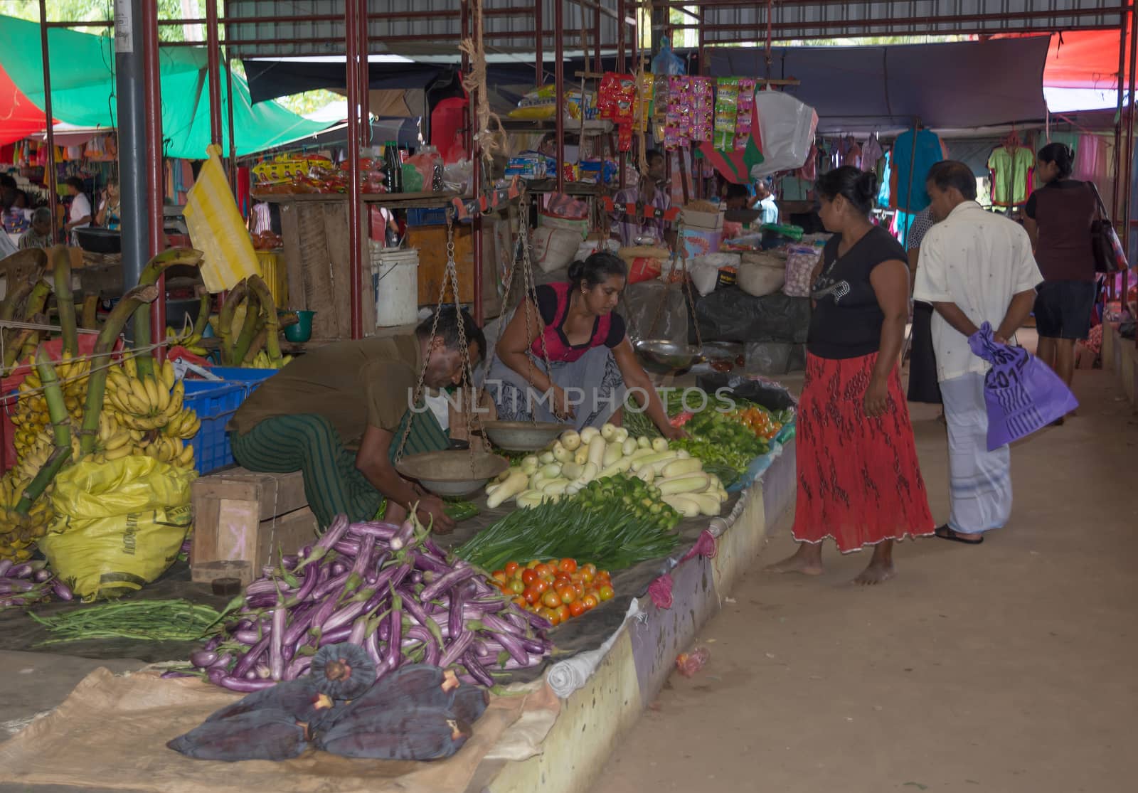 TANGALLE, SOUTHERN PROVINCE, SRI LANKA - DECEMBER 17, 2014: Vegetable vendor in the market on December 17, 2014 in Tangalle, Southern Province, Sri Lanka, Asia.