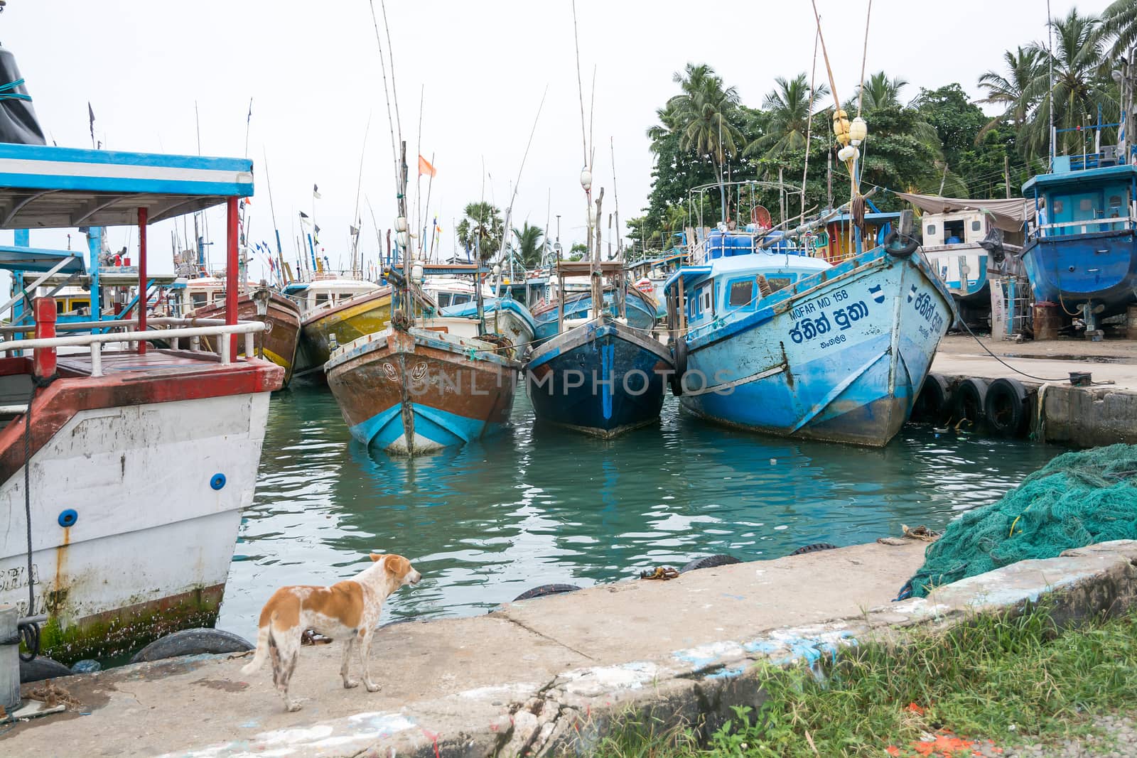 TANGALLE, SOUTHERN PROVINCE, SRI LANKA, ASIA - DECEMBER 20, 2014: Colorful wood fishing boats moored on December 20, 2014 in Tangalle port, Southern Province, Sri Lanka.