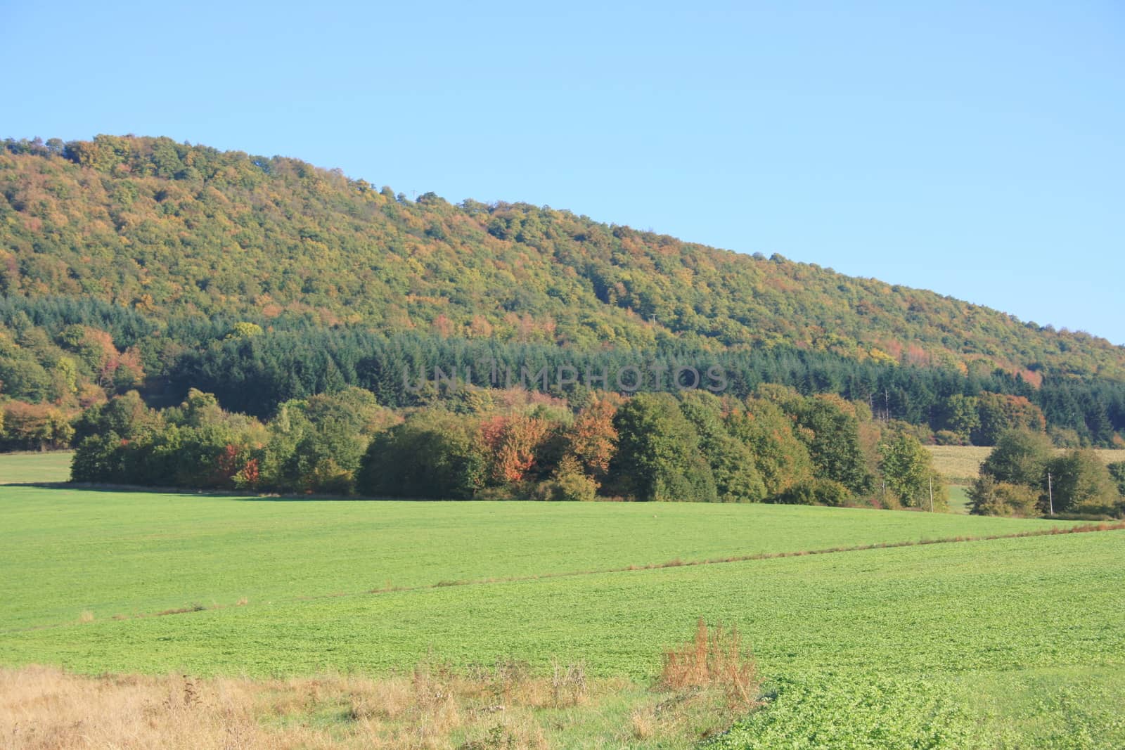 Mountains with forested mountain 