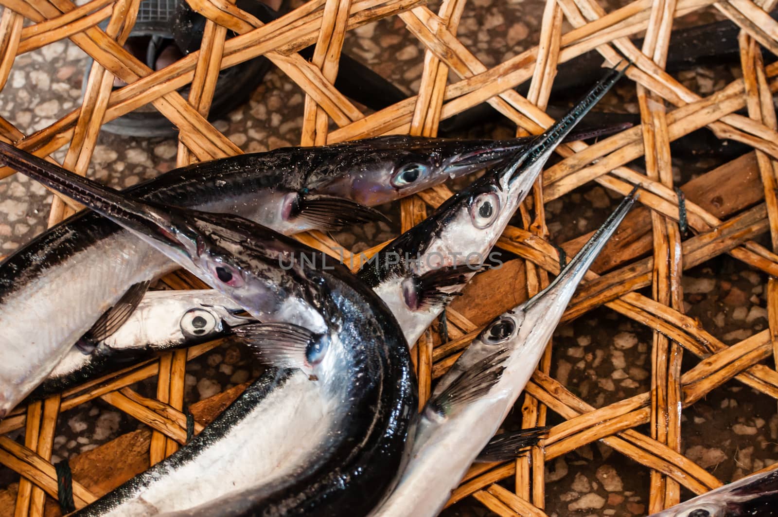 Small baracuda in a basket at the fish market at Stone Town, Zanzibar, to be sold at the fish market.