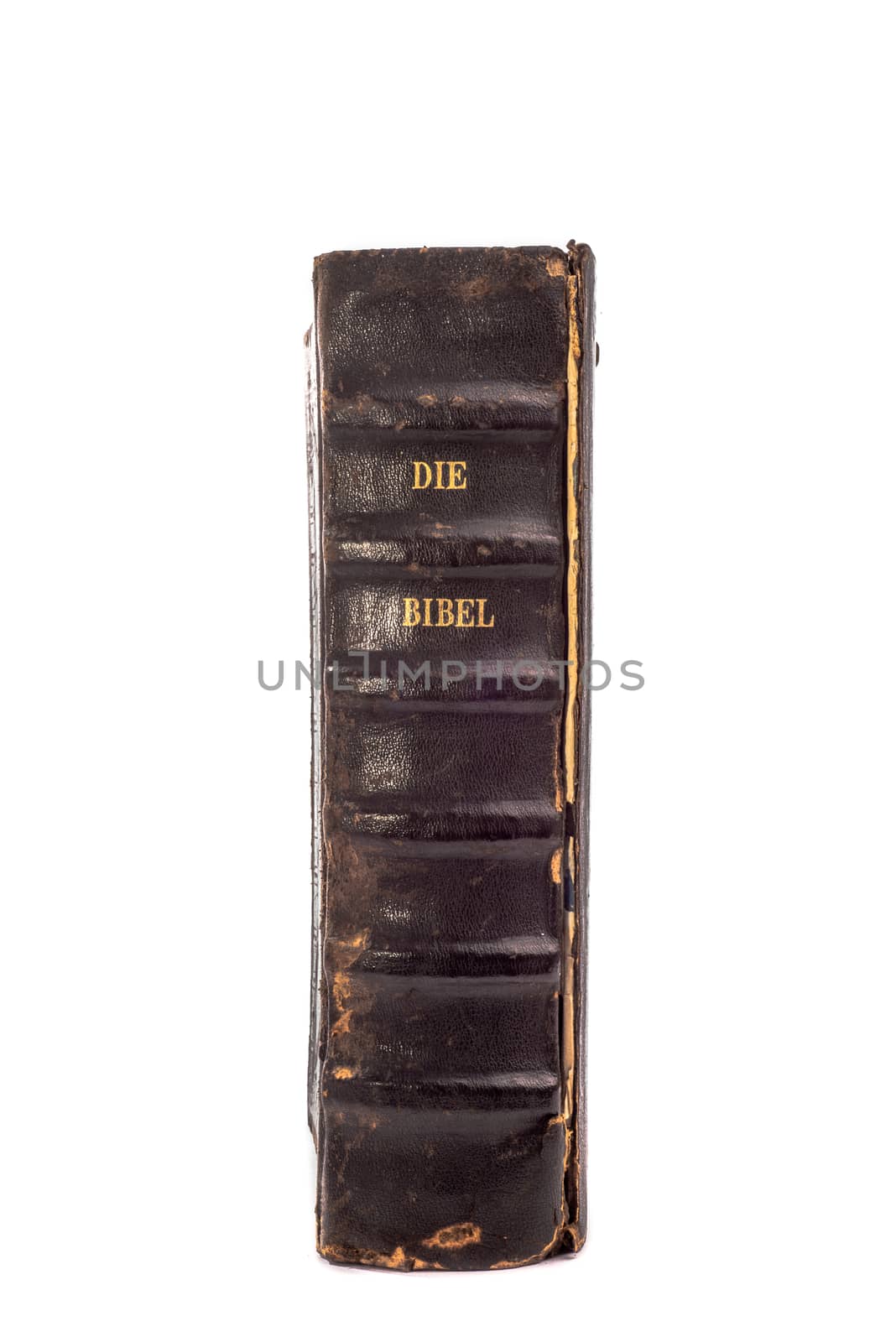 Old Dutch Bible by JFJacobsz