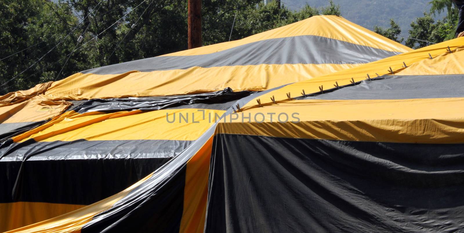 Fumigation Tent by hlehnerer