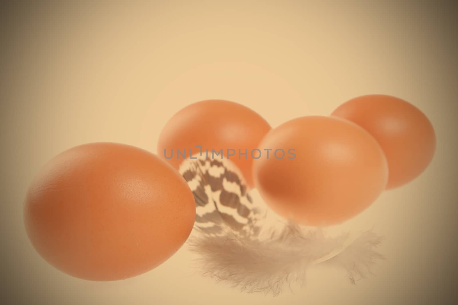 eggs with a feather, easter still life, instagram image style