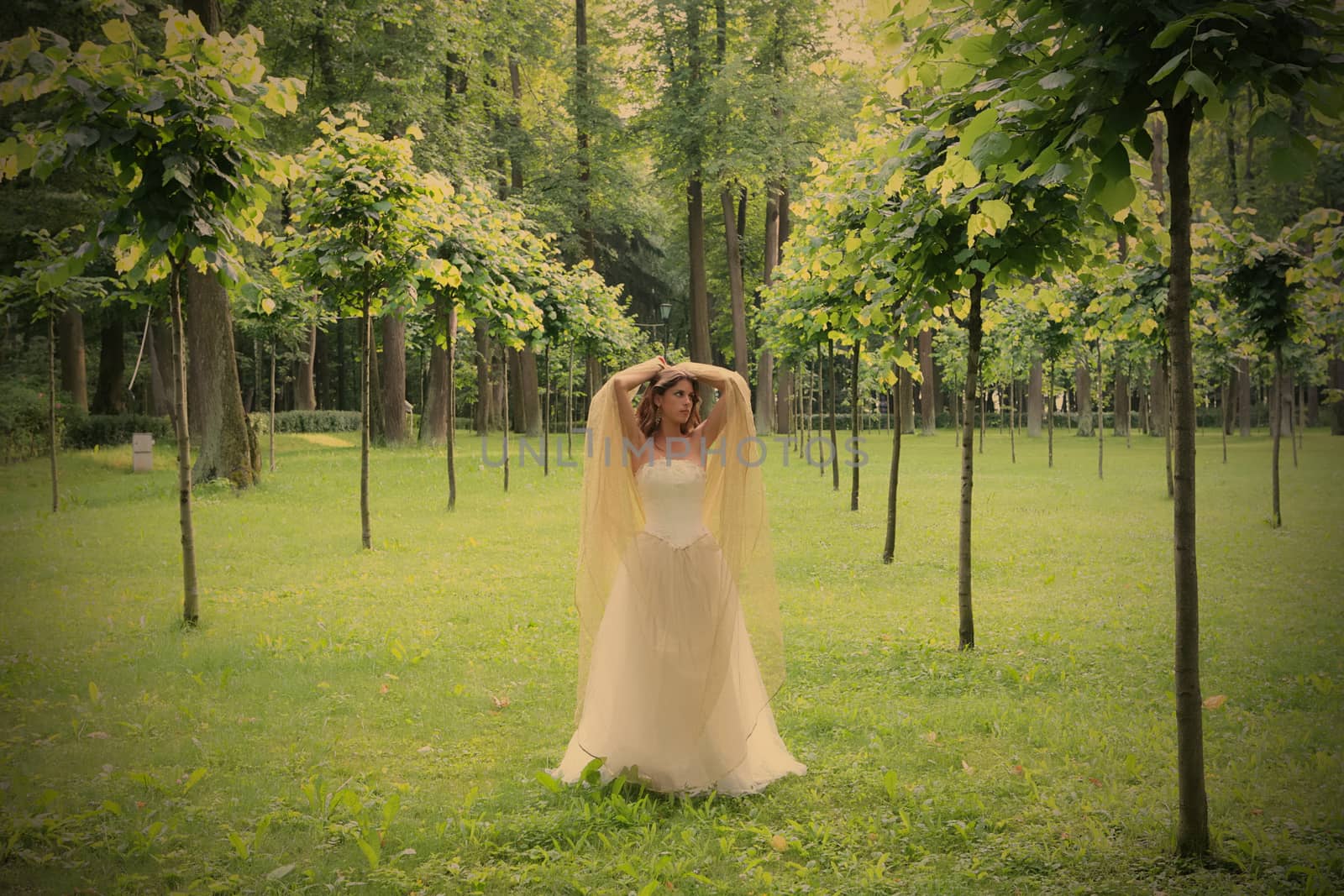 girl in white-golden gown in the summer park between young trees, instagram image style