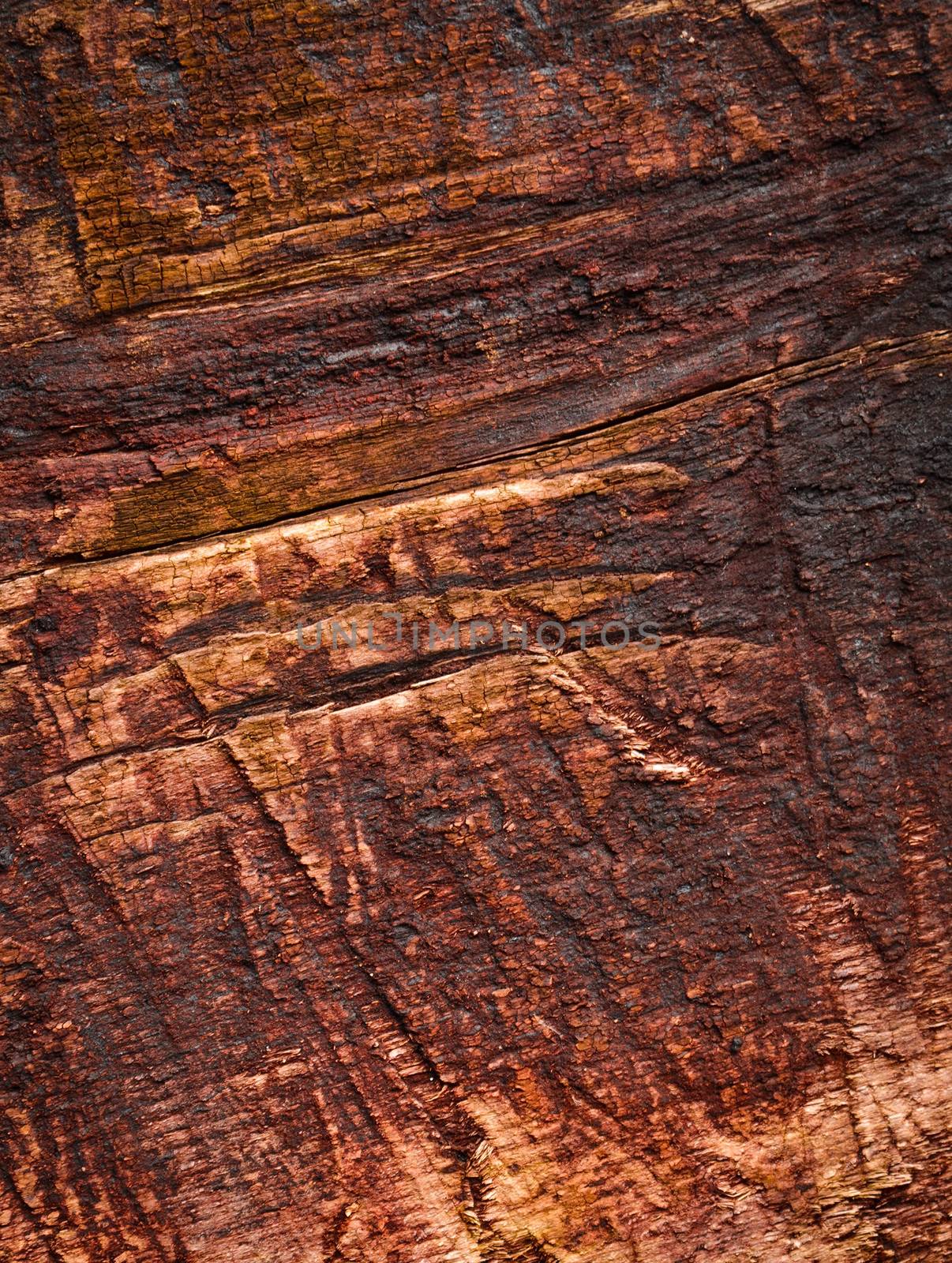 detail of old wooden boards by Ahojdoma