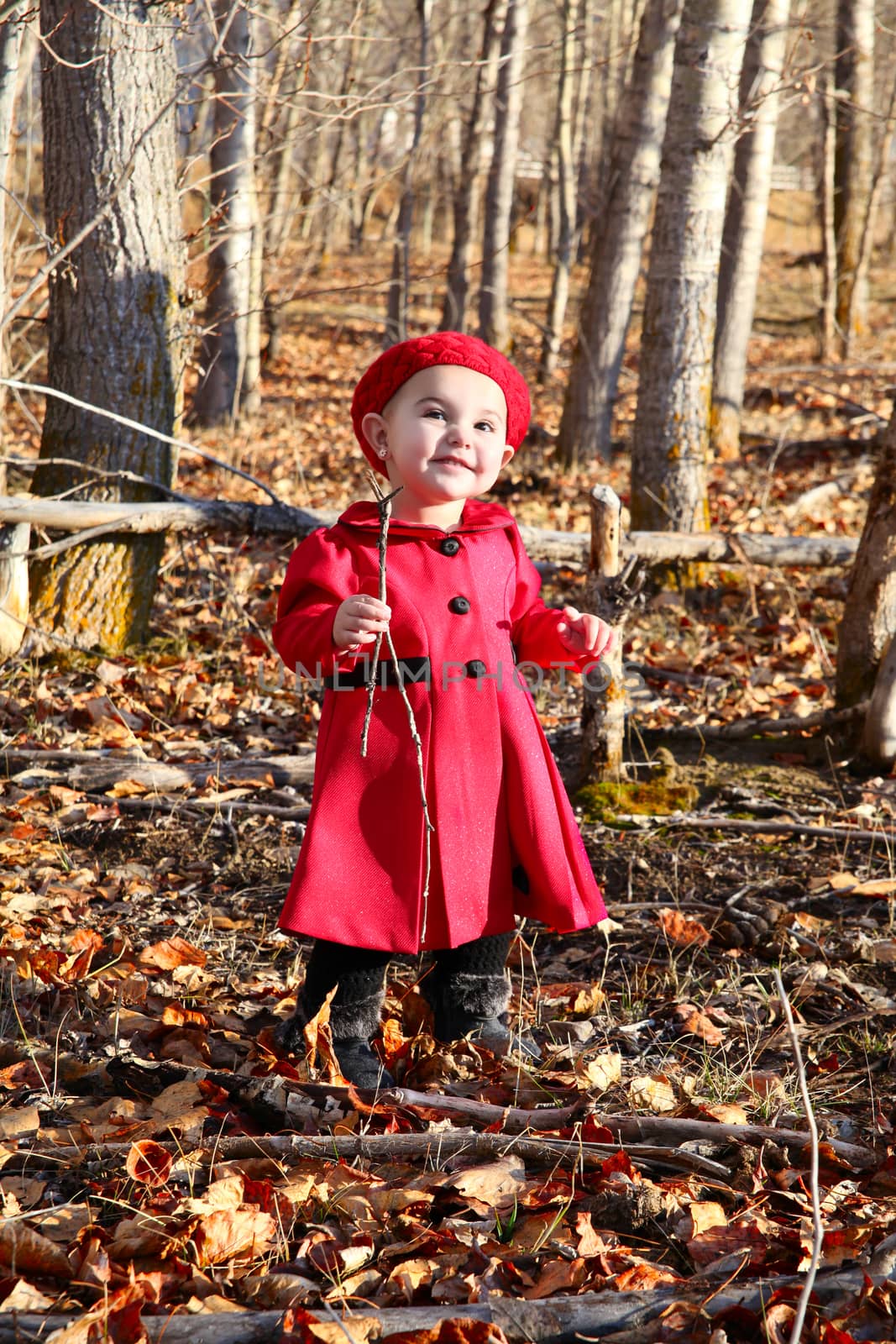 Little girl wearing a red coat and hat in the forest