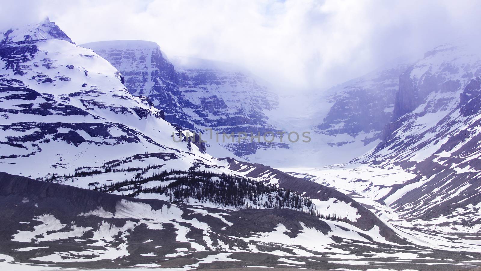 Snow-covered columbia icefield, jasper national park, alberta, canada 