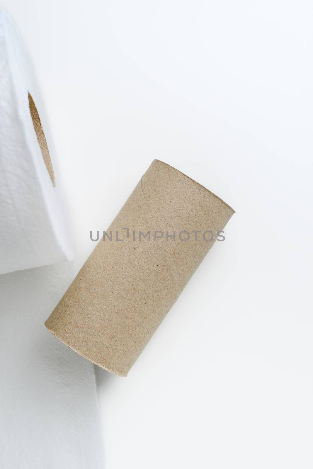 toilet paper by antpkr