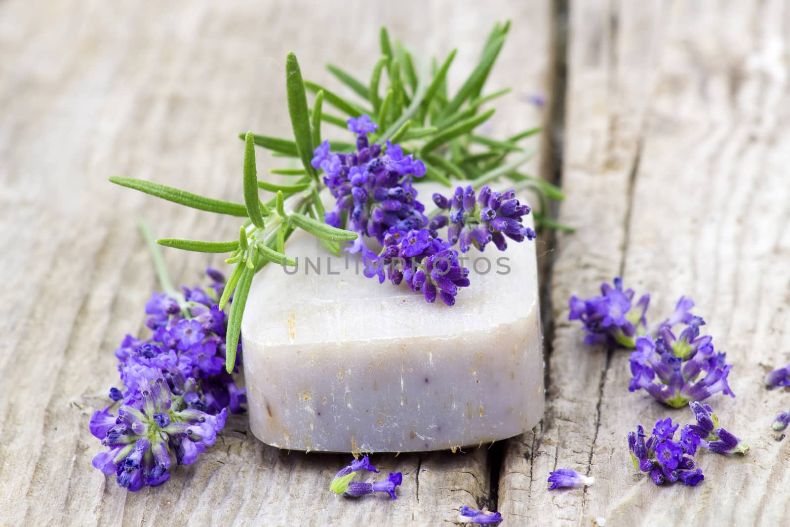 bar of natural soap, lavender flowers and rosemary