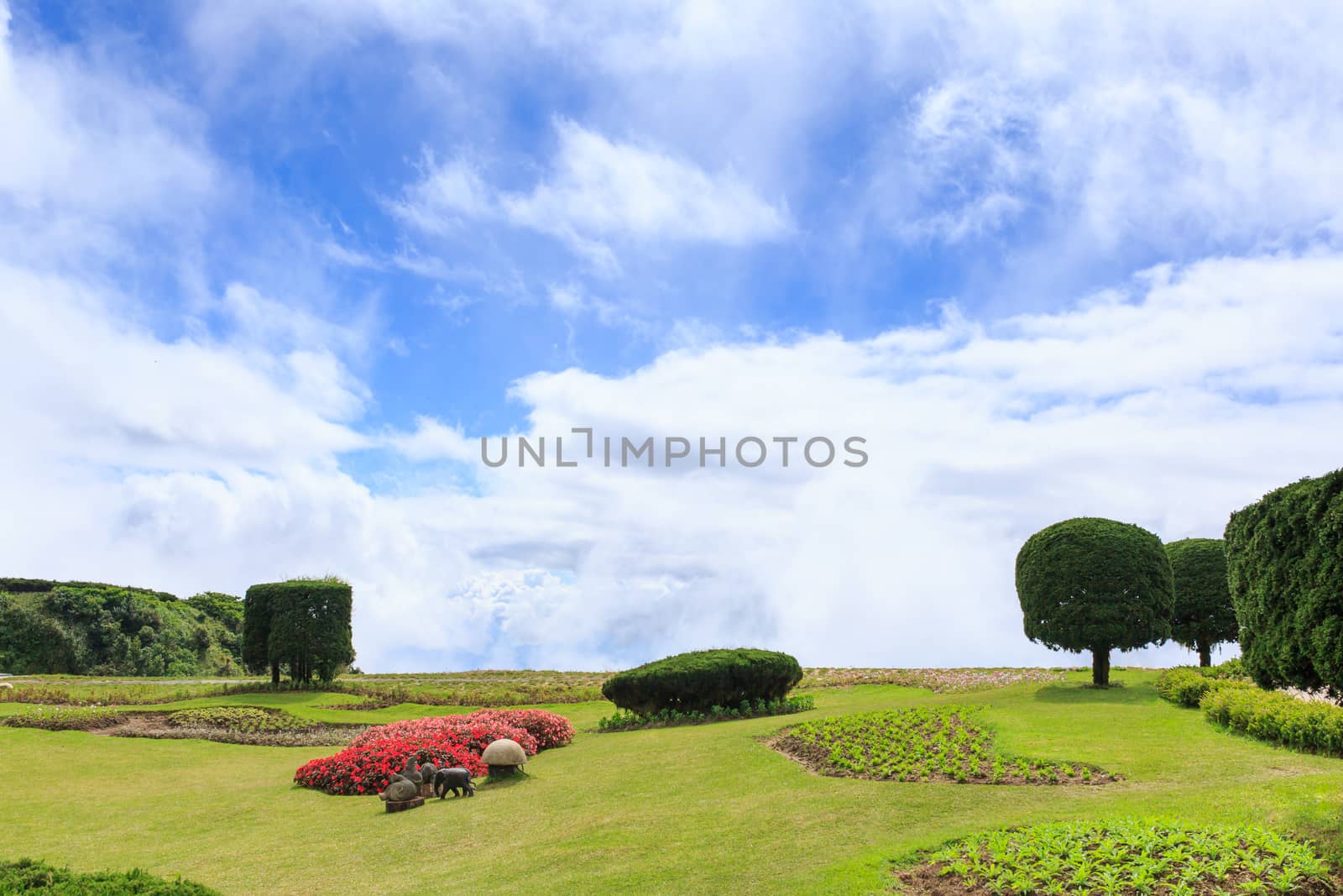 Doi Inthanon national park in Chiang Mai, Thailand