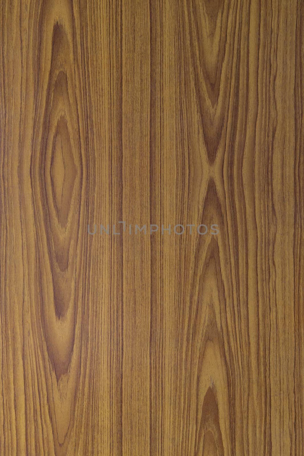 Texture of wood background closeup