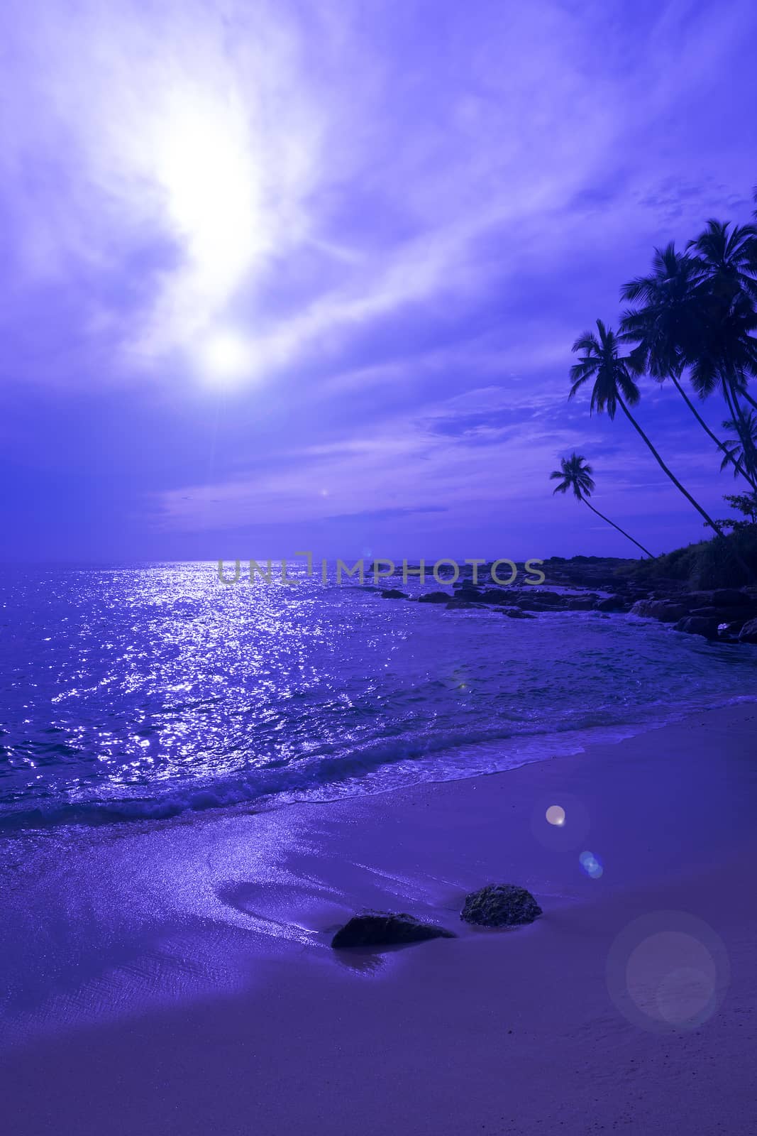 Tropical blue landscape, beach with coconut palms and moon reflecting in water by the Indian Ocean, Sri Lanka, Asia.