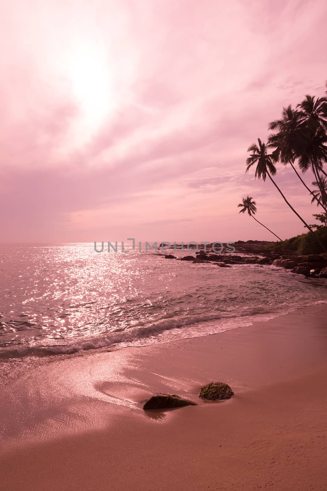 Tropical pink landscape, beach with coconut palms and sun reflecting in water by the Indian Ocean, Sri Lanka, Asia.