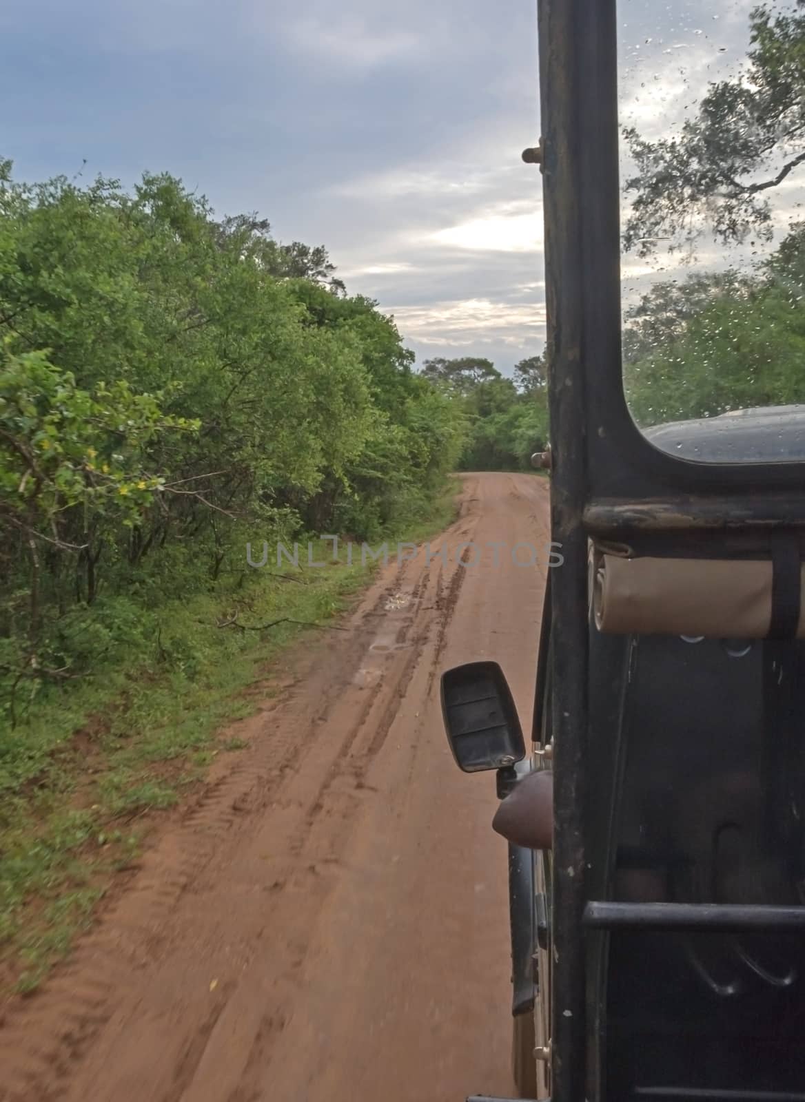 Red dirt road from inside safari jeep by ArtesiaWells