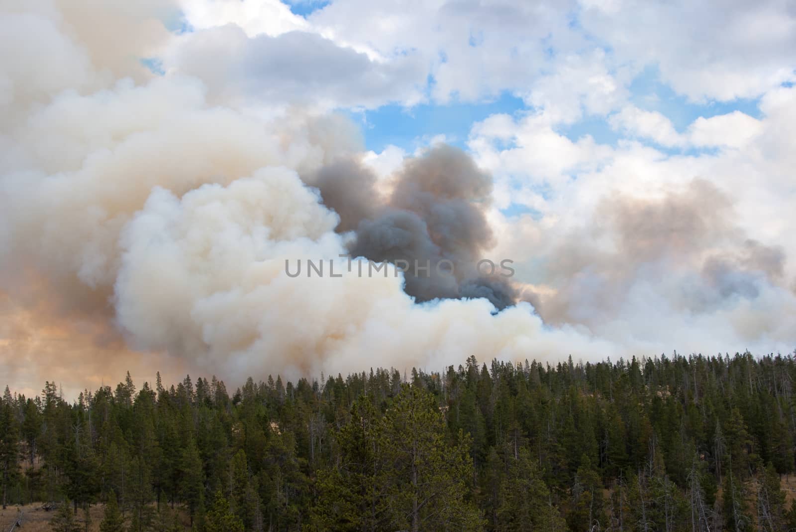 Forest fire clouds with flames in Yellowstone by emattil