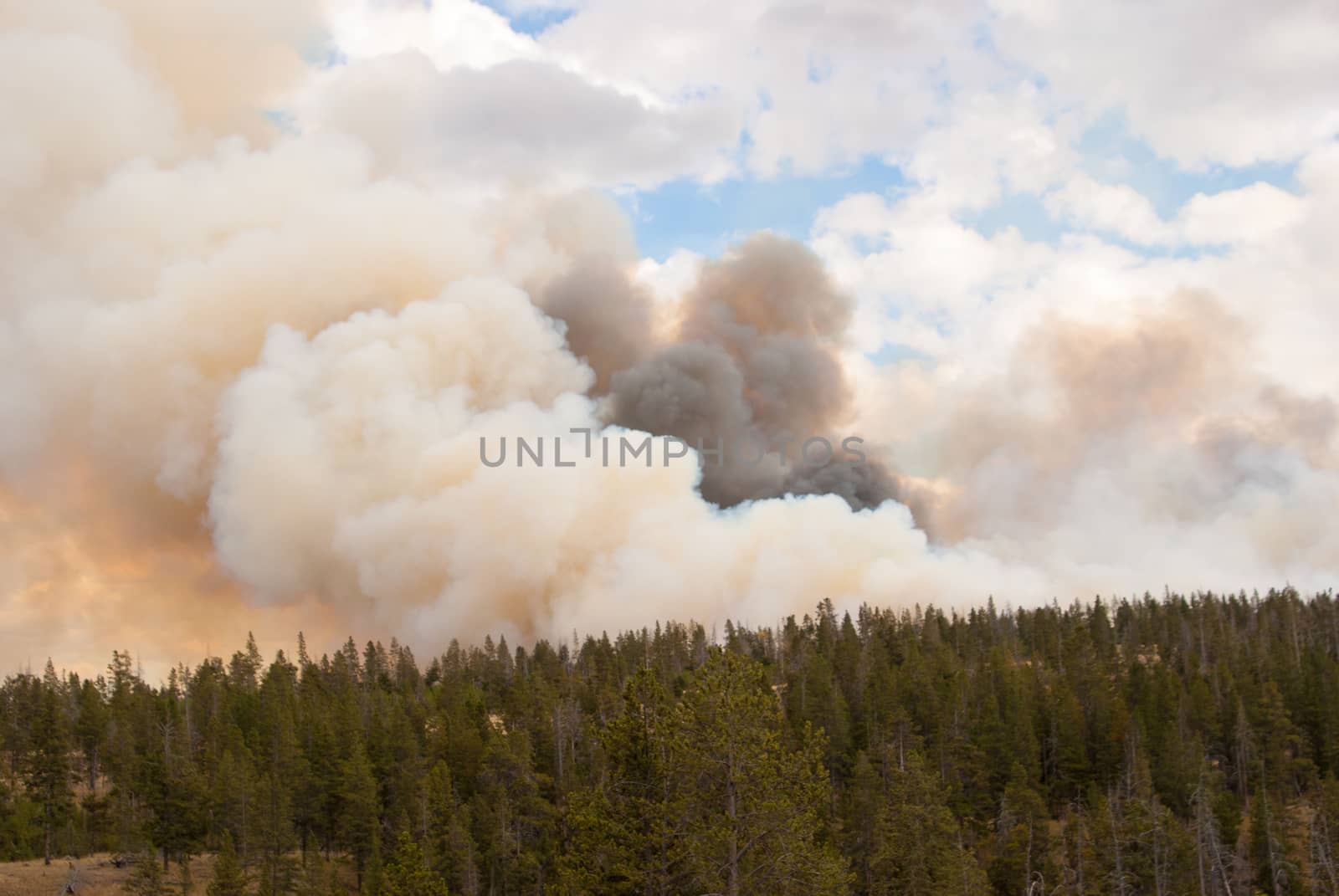 Flames dance in fire clouds over Yellowstone Park by emattil