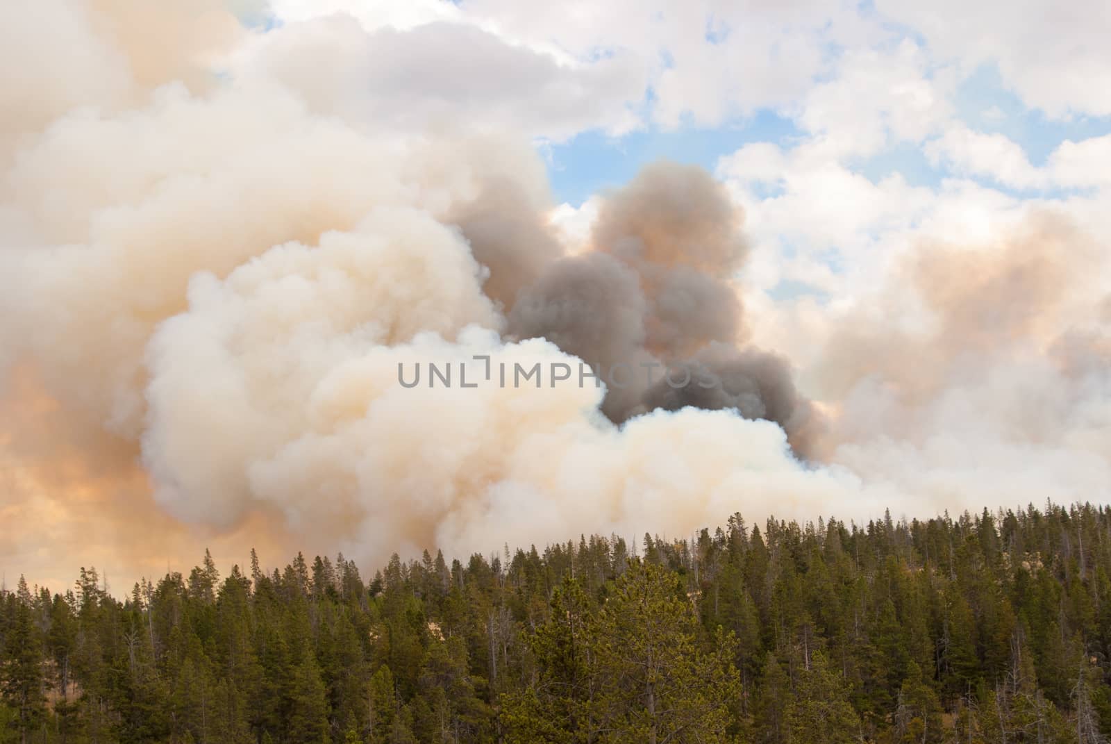 Fire takes hold in Yellowstone forests by emattil