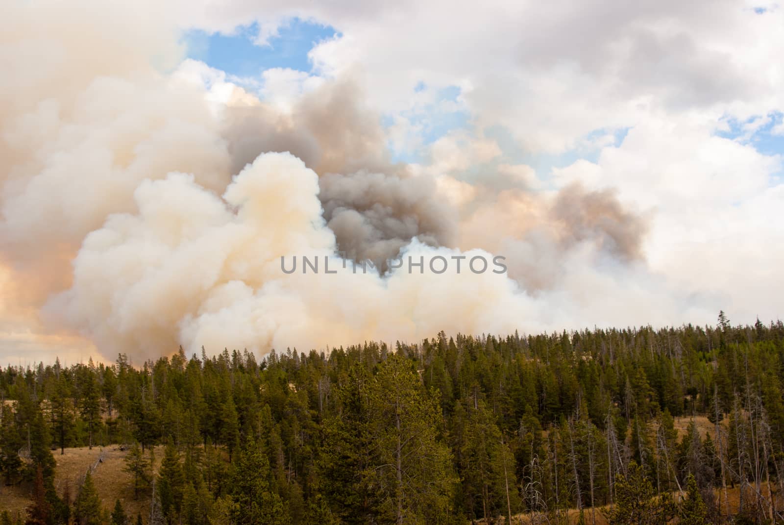 Horizon of Fire in Yellowstone Park by emattil