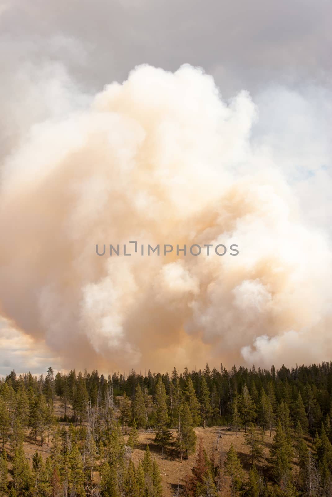 Bright orange forest fire clouds in Yellowstone by emattil