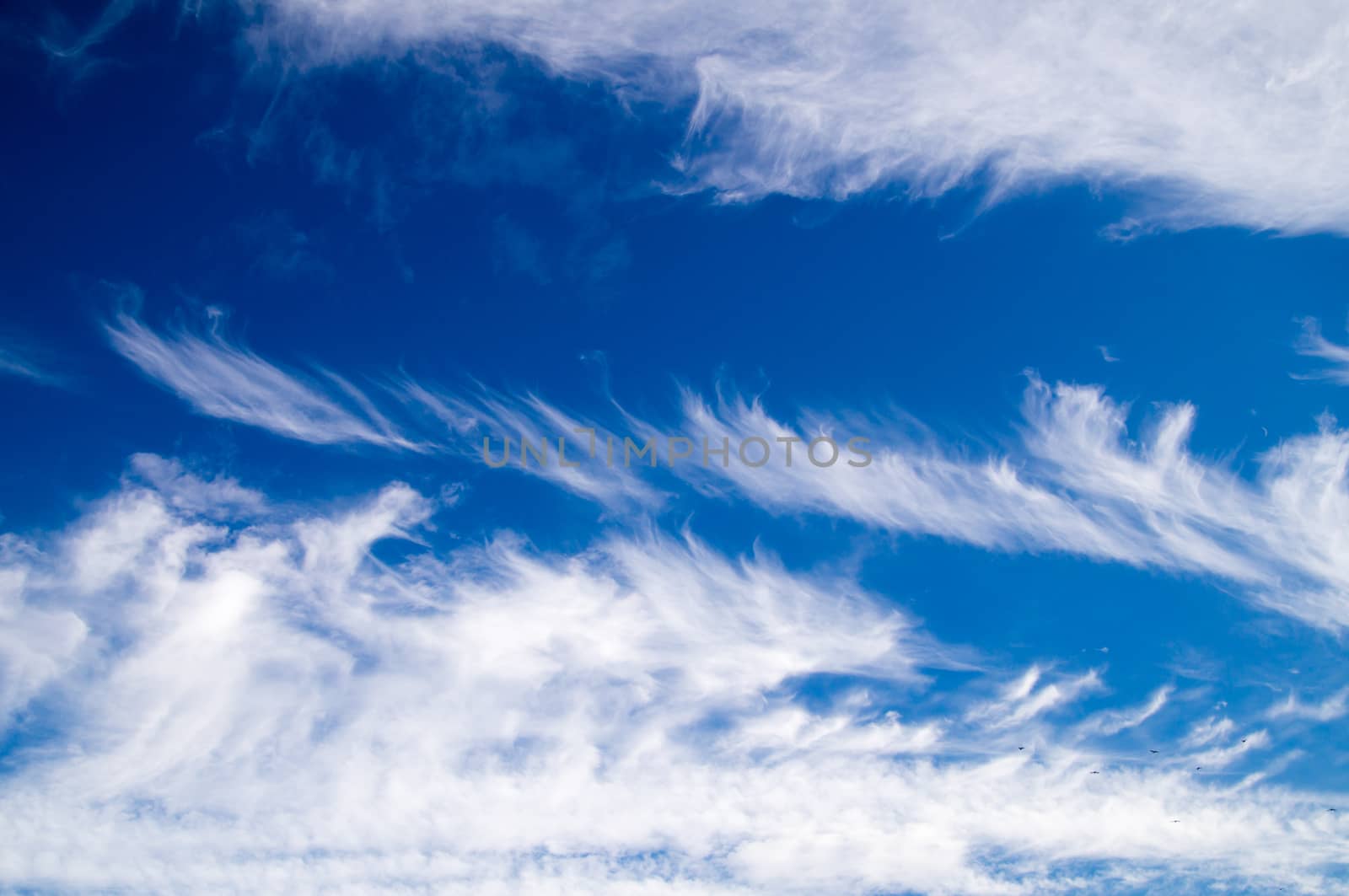 Clouds on blue sky Nevada, USA