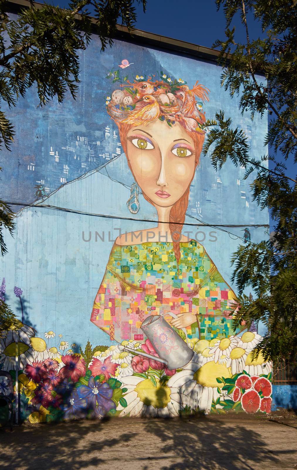 Colourful murals adorning the walls of tenement blocks in the San Miguel area of Santiago, capital of Chile. The area was created as an open air museum in what was a run down area of the city.