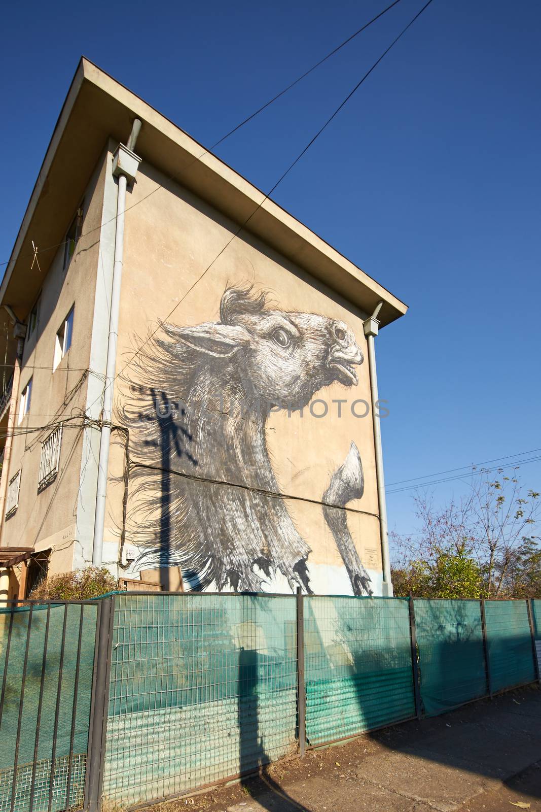 Colourful murals adorning the walls of tenement blocks in the San Miguel area of Santiago, capital of Chile. The area was created as an open air museum in what was a run down area of the city.