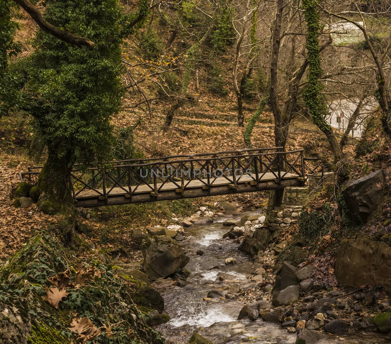 Small Wooden Bridge over a Stream in Forest at winter by ankarb