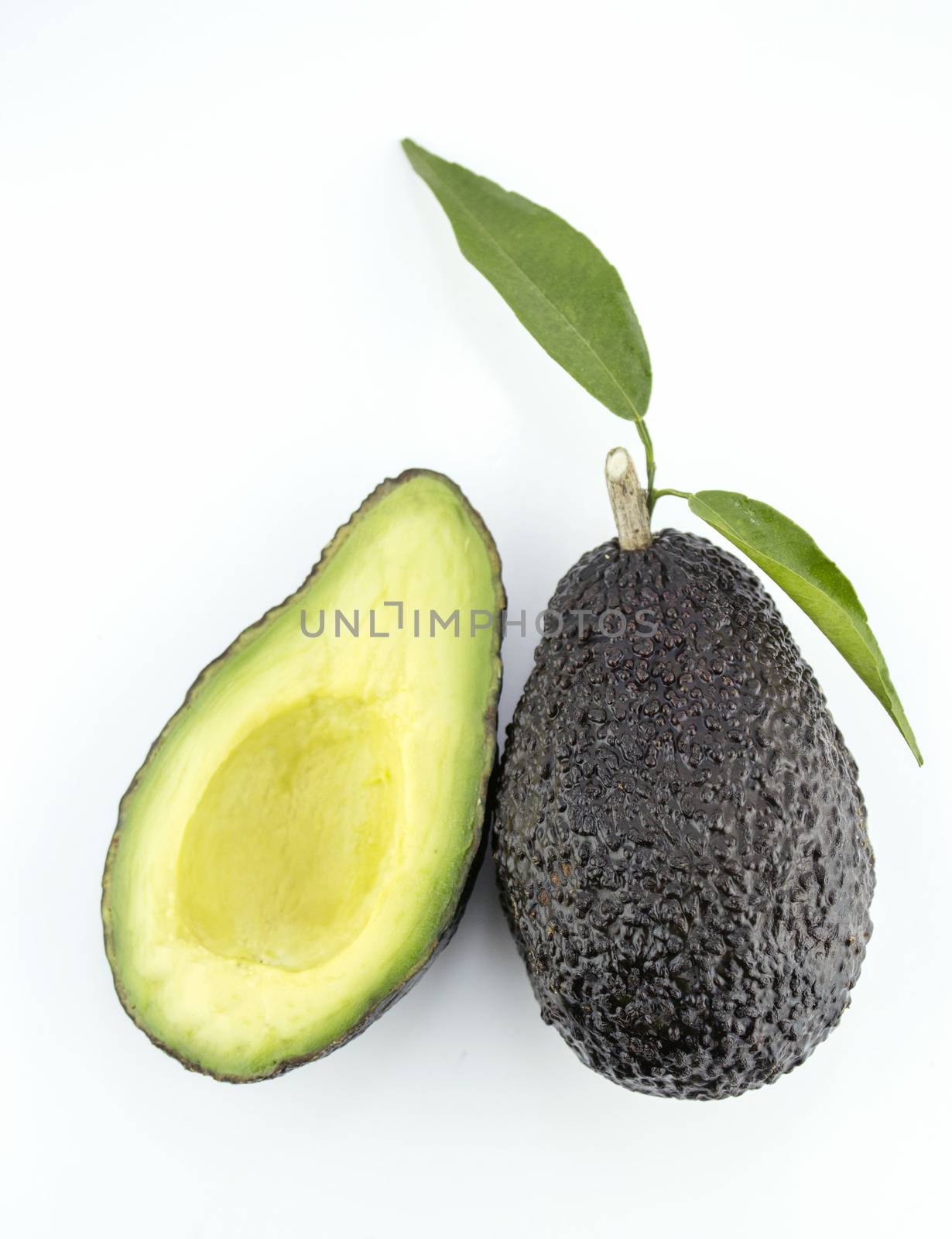 Avocados with leaves on a white background