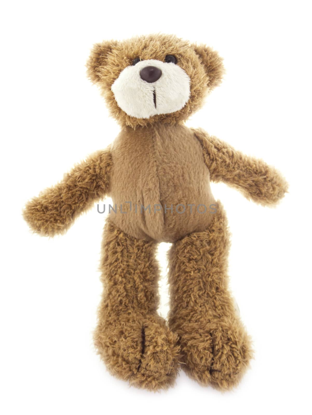 cute teddy bear by designsstock