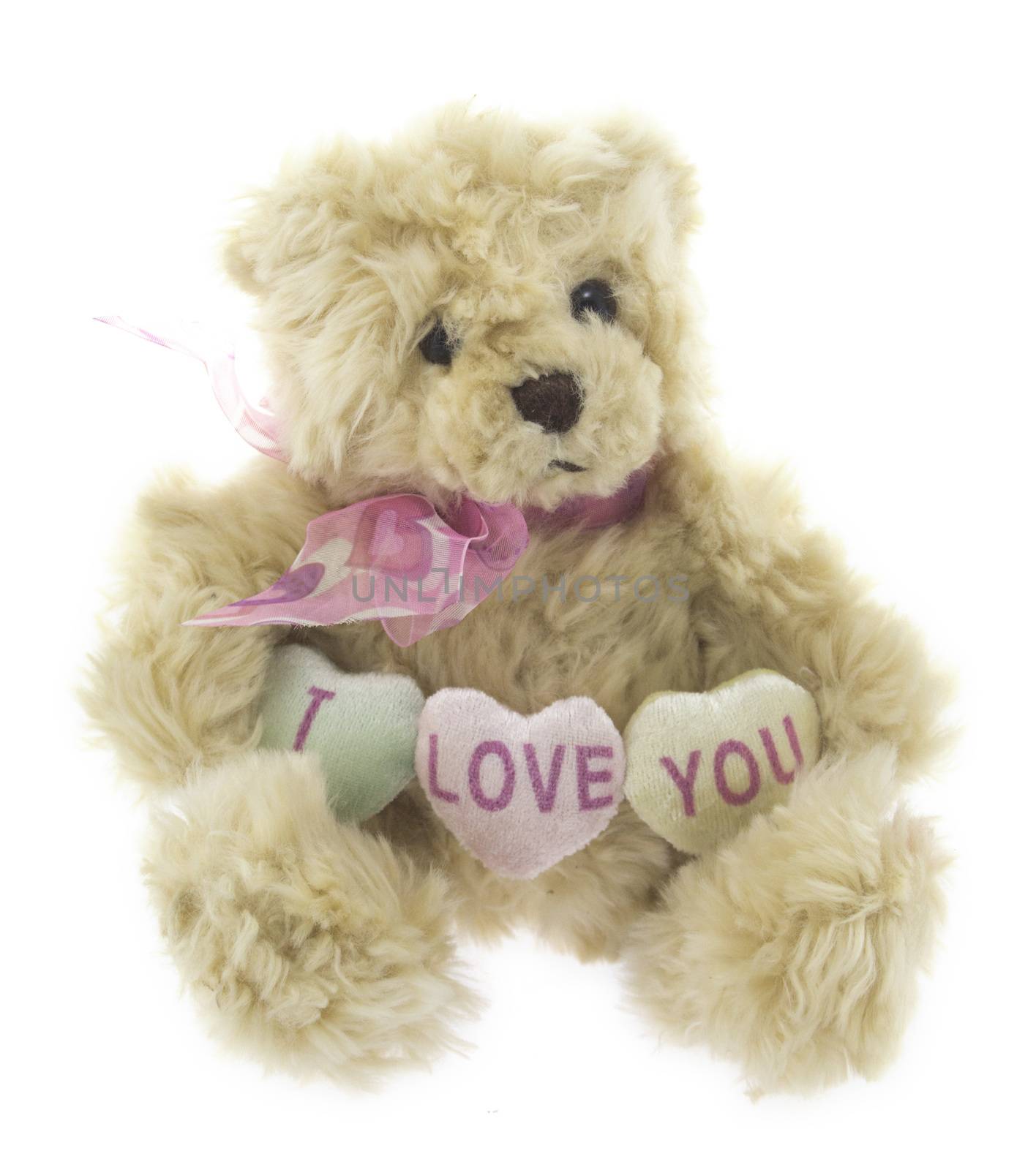 cute teddy bear couple holding love hearts.