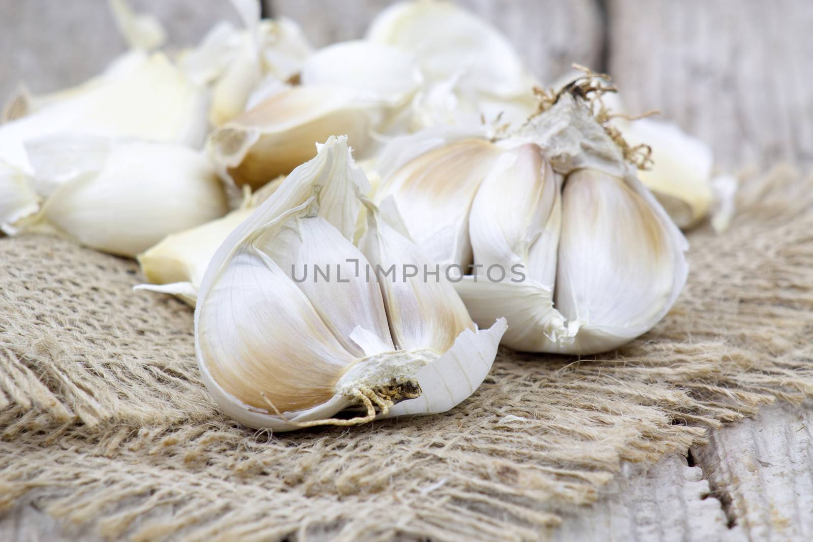 fresh garlic by miradrozdowski