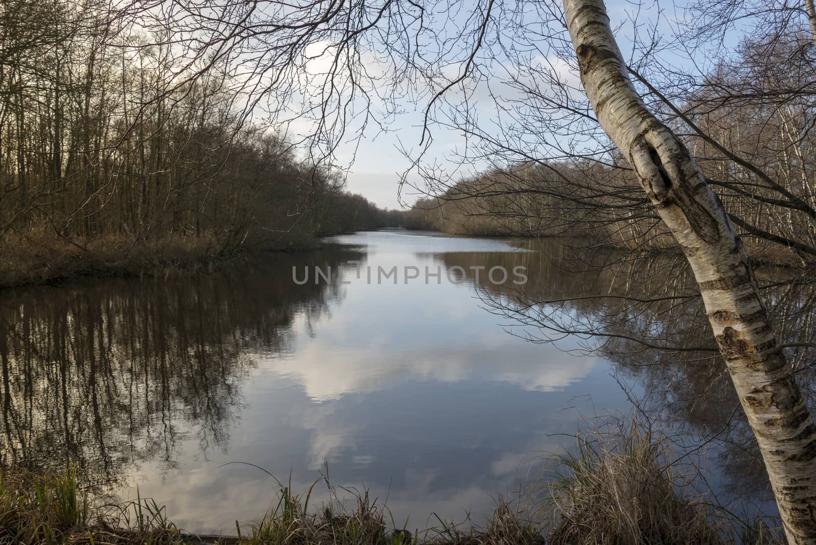  the weerribben nature park in holland with clouds reflection in the water