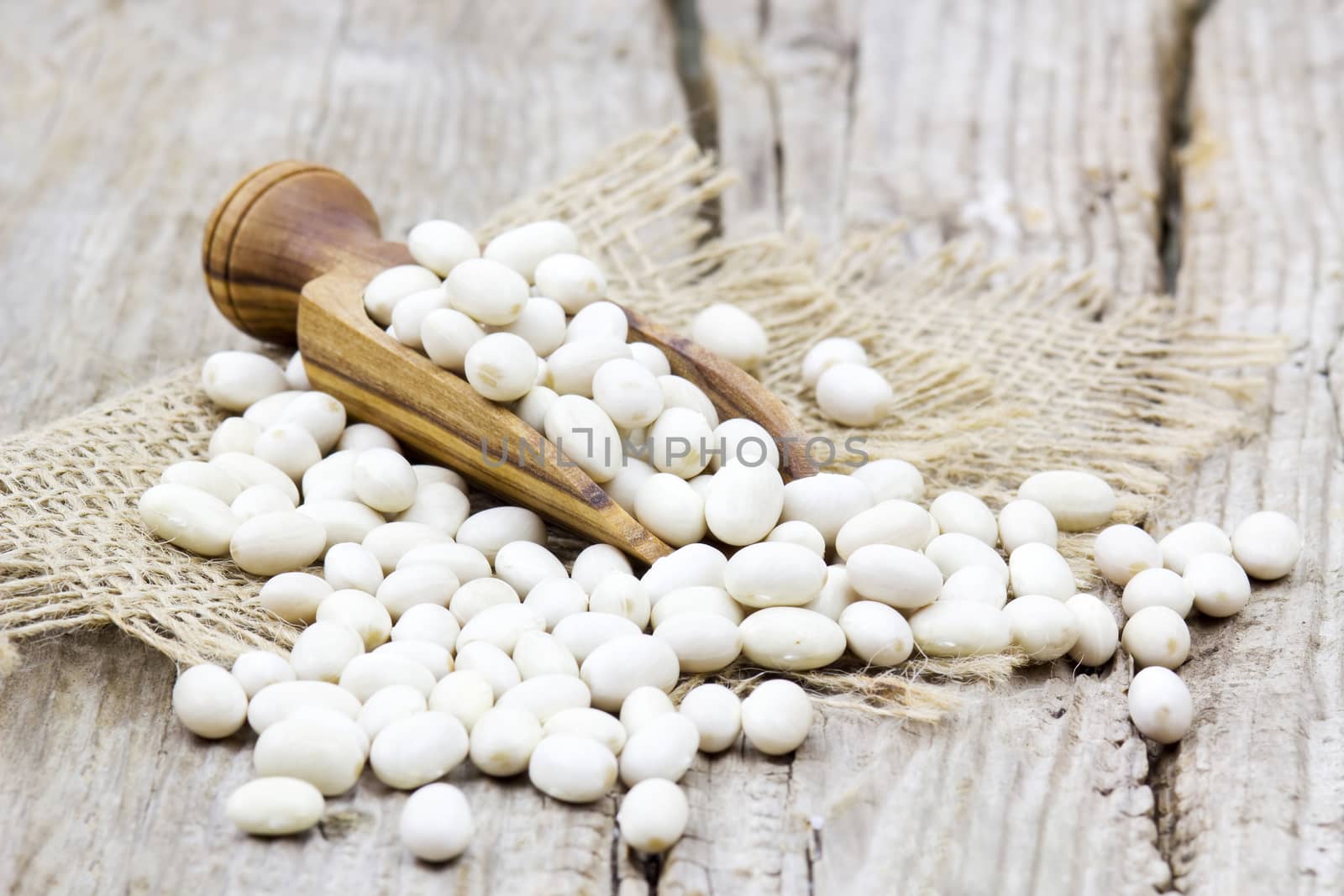 wooden scoop with white beans