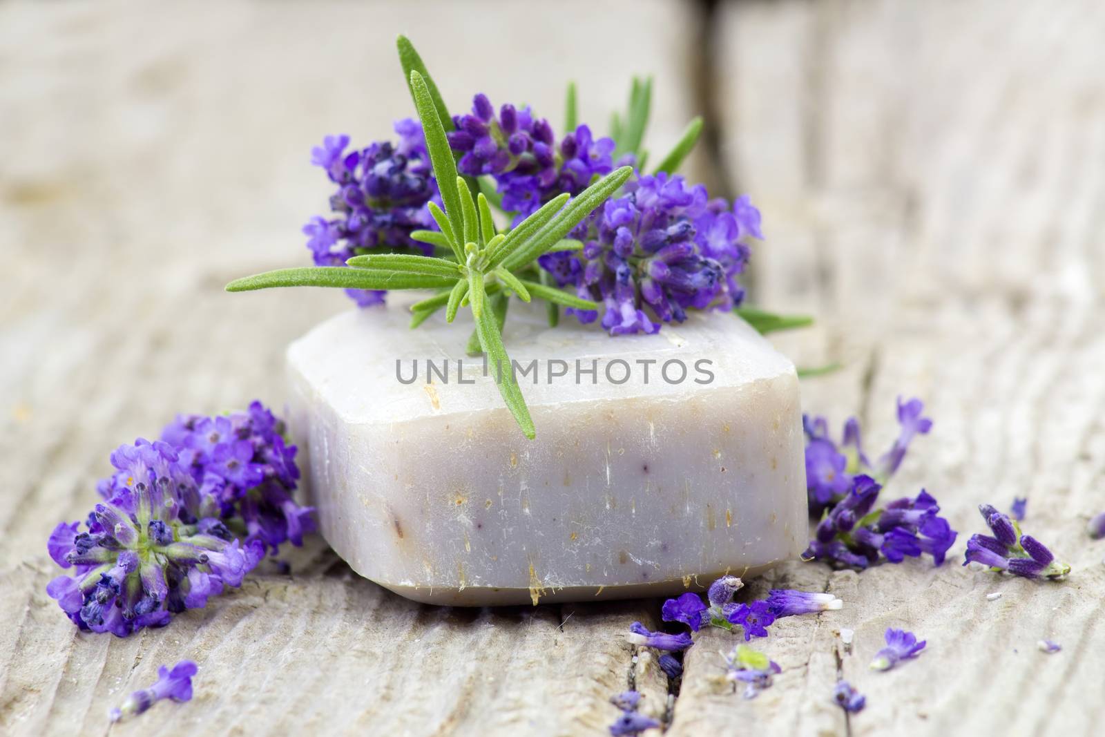 bar of natural soap and lavender flowers