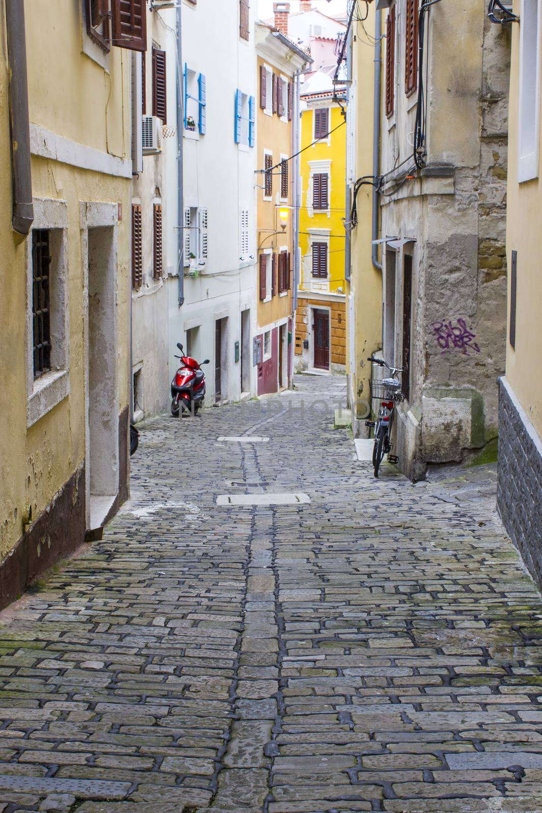 Old Town in Piran, Slovenia  by miradrozdowski