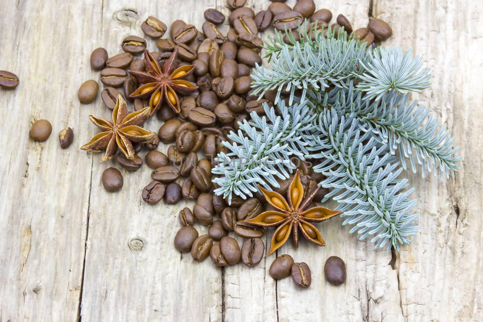 Blue pine tree branch, anise and coffee beans on wooden background 