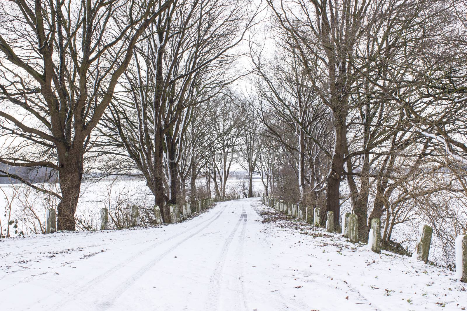 Snowy road in the winter by miradrozdowski