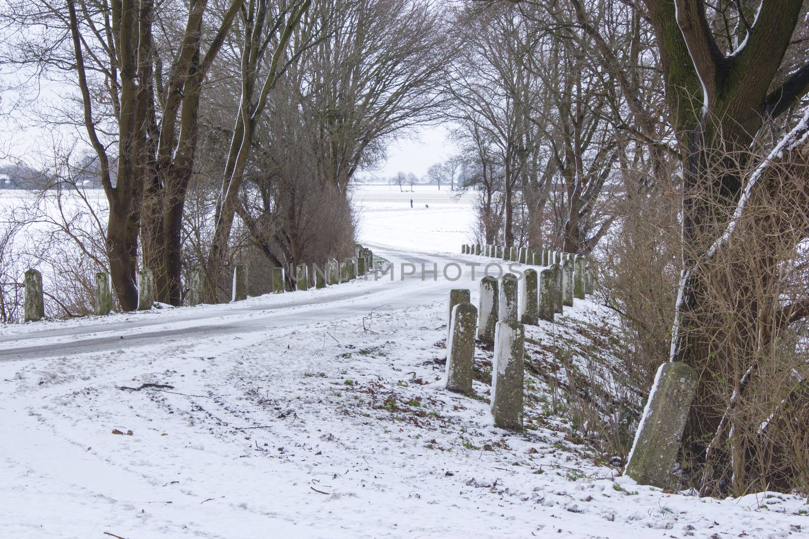 Snowy road in the winter by miradrozdowski