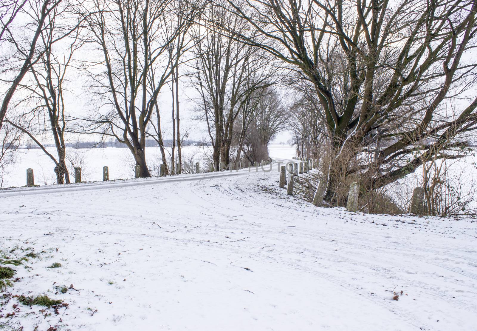 Snowy road in the winter by miradrozdowski