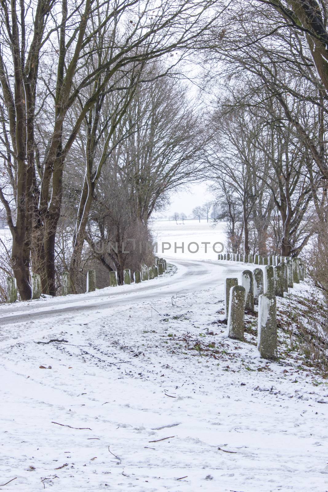 Snowy road in the winter by miradrozdowski