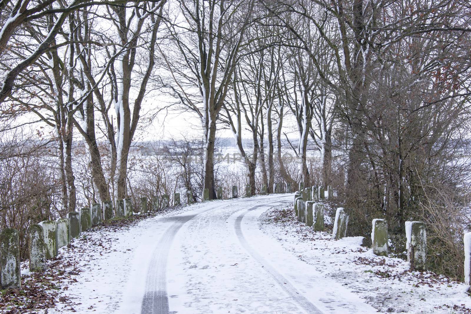 Snowy road in the winter  by miradrozdowski