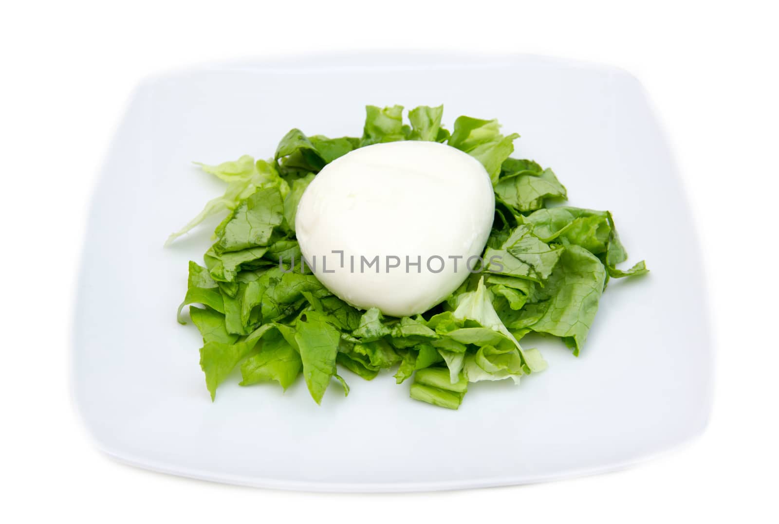 Mozzarella with salad on plate on white background