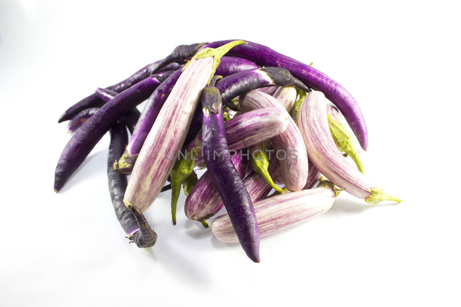 Eggplant by designsstock