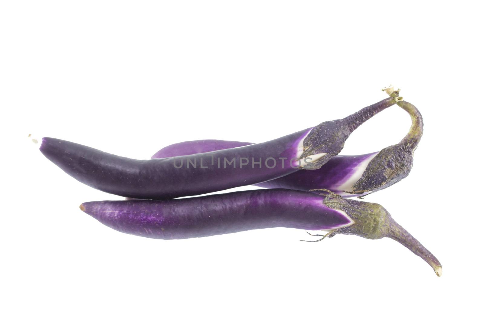 Eggplant by designsstock