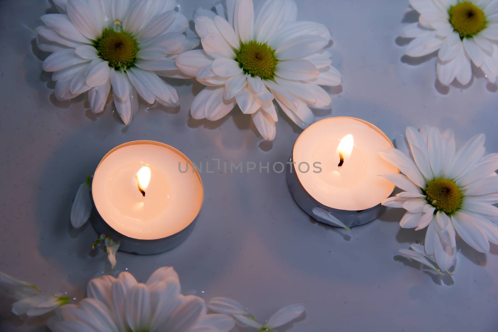 Candles in water with daisy petals and close views